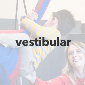 Vestibular